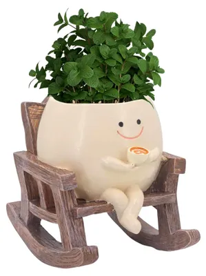 Produktbild von Blumentopf mit Smiley-Gesicht,Lustige Blumentöpfe,Schaukelstuhl-Blumentopf für Außen Innen für Home Gartendeko