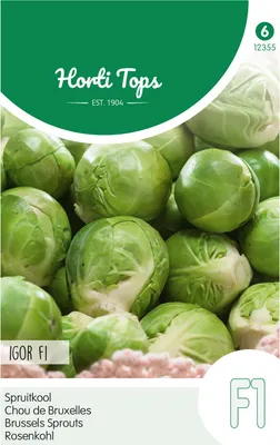 Produktbild von Rosenkohl Igor F1 Hybride | Rosenkohlsamen von Hortitops