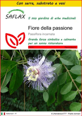 Immagine prodotto di SAFLAX Insieme di coltivazione - Fiore della passione - 5 semi - Passiflora