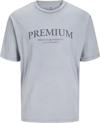 Zdjęcie produktu dla Jack&Jones JPRBLUWINSTON SS TEE Weathervane M