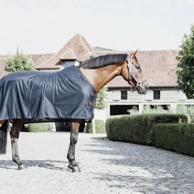 Produktbild von Kentucky Horsewear Mesh Fliegendecke Navy 125