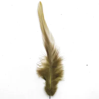 Produktbild von Federn Hahnenfedern, ca. 10-15 cm, 50 Stück, Braun