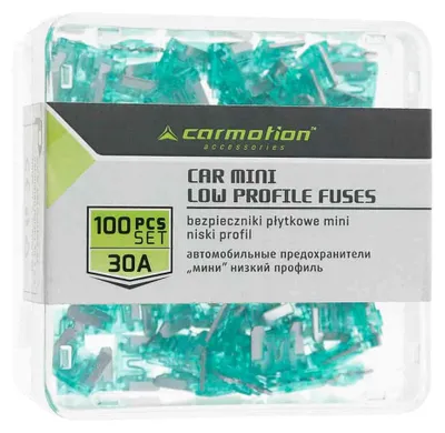 Image de Mini fusibles à profil bas 30A, 100 pcs.