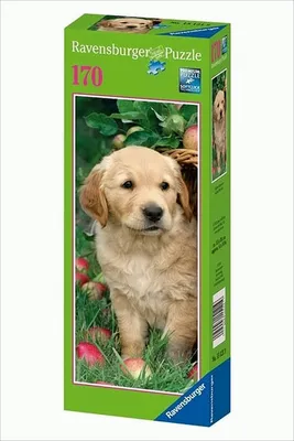 Image de Ravensburger Panorama Puzzle vertical mini - Golden Retriever, 170 pièces