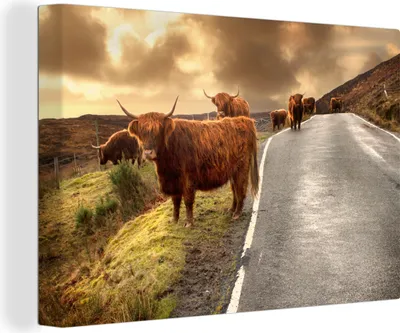 Produktbild von OneMillionCanvasses® - Leinwandbilder - 140x90 cm, Schottische Hochlandrinds - Himmel - Straße, Wandbilder Wohnzimmer Hochland Rind - Tier Wanddekoration - Hochland Rind - Kuh - Gemälde auf Holzrahmen