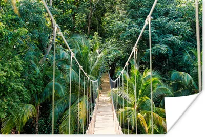 Produktbild von MuchoWow® Poster Dschungel - Palme - Brücke - Natur - Pflanzen 120x80 cm - Bilder