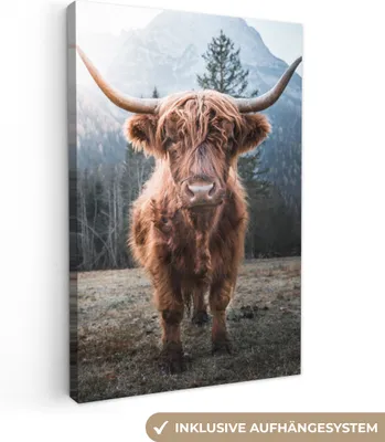 Produktbild von Wanddeko 40x60 cm - Schottisches Hochlandrind - Kuh - Tiere - Berg - Natur, Deko Wohnzimmer, Leinwand Bilder