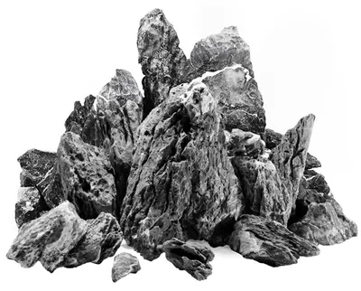 Immagine prodotto di Pietra di drago naturale - Da 3 a 6 cm - 500 g - Per acquario e terrario