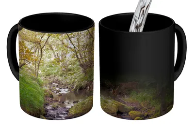 Obrázek produktu pro MuchoWow® Kouzelný pohár Jelen - strom - les 350 ml Barva měnící se pohár Dárkový nápad - foto hrnek