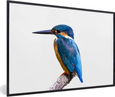 Produktbild von MuchoWow® Gerahmtes Poster Eisvogel - Federn - Zweig - Blau 90x60 cm - Poster mit Schwarzem Bilderrahmen Wandposter Rahmen Foto Bilder - Fotorahmen - Foto-Plakat
