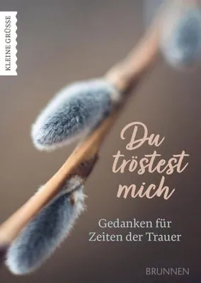Obrázek produktu pro Du tröstest mich