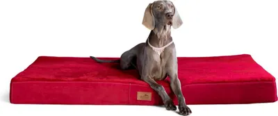 Produktbild von tierlando® Orthopädische Hundematte STUART ORTHO PLUS - Größe: 120x90cm | Farbe: 04 Dunkelrot