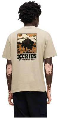 Image de T-shirt Dickies Darrtown pour Homme