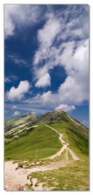 Produktbild von Wallario selbstklebende Türtapete 93 x 205 cm - Alpenluft - Abwischbar, rückstandsfrei zu entfernen