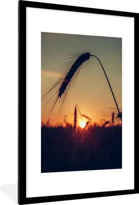Produktbild von MuchoWow® Gerahmtes Poster Gras - Herbst - Sonnenuntergang - Jahreszeiten - Landschaft 60x90 cm - Poster mit Schwarzem Bilderrahmen Wandposter Rahmen Foto Bilder - Dekoration - Wandposter Wohnzimmer - Hochwertig