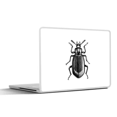 Produktbild von MuchoWow® Laptop Aufkleber Sticker Cover Käfer - Tiere - Vintage 30x22 cm - Laptop-Sticker