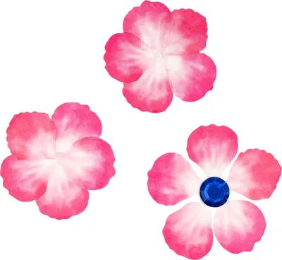 Immagine prodotto di Colorare - Adesivi Washi - Petali rosa, 80.