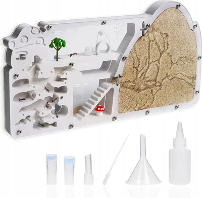 Immagine prodotto di Formicario TERRARIO PER FORMICHE DIDATTICO PER ALLEVAMENTO 27,5 cm XXL START