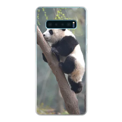 Produktbild von MuchoWow® Handyhülle Schutzhülle Hülle für Samsung Galaxy S10 Lite Panda - Tier - Baum Silikon Softcase Handy Hülle - Schutz