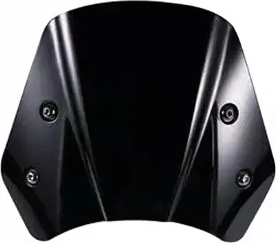 Obrázek produktu pro Čelní sklo pro Indian FTR 1200 / S RW2 černé