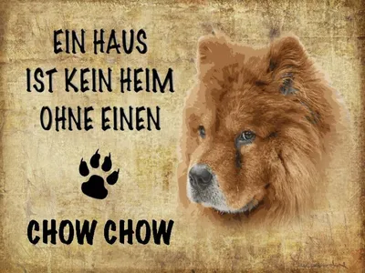 Produktbild von vianmo Holzschild 30x40 cm Chow Chow Hund