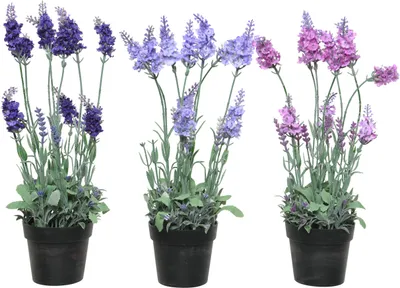 Produktbild von Künstlicher Lavendel 38cm im Topf Lila 1 Stück sortiert