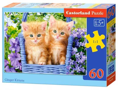 Obrázek produktu pro CASTORLAND Puzzle 60 dílků - Zrzavá koťata