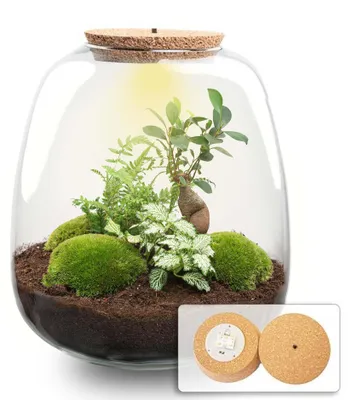 Produktbild von -  25 cm - Ø23cm