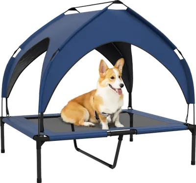 A corgi dog sits on a raised dog bed with a blue canopy.