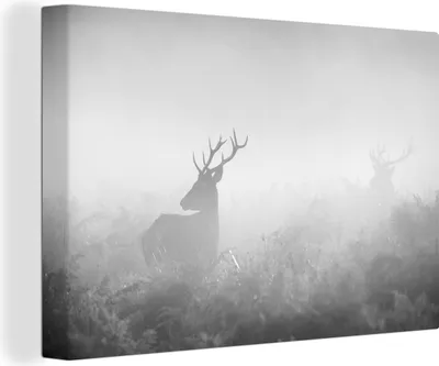 Zdjęcie produktu dla MuchoWow® - Obraz na płótnie - Jeleń we mgle - czarno-biały, fototapeta, dekoracja ścienna, obrazy do salonu, 90x60cm