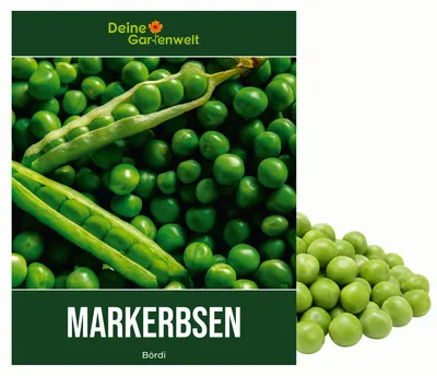 Produktbild von Markerbsen Bördi Samen - Pisum sativum - Erbsensamen - Gemüsesamen - Saatgut für 50 Pflanzen