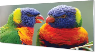 Produktbild von Glasbilder 125x50 Wandkunst bunter Papagei