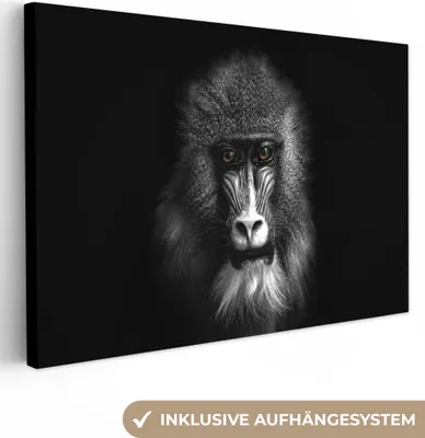 Produktbild von MuchoWow® - Leinwandbilder - Affe - Tiere - Augen - Braun - Schwarz und weiß, Wandbild, Wanddeko Bilder Wohnzimmer, 120x80cm