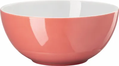 Imagen del producto de Thomas Schüssel 18 cm Sunny Day Soft Red Porzellan Rot 10850-408601-13388