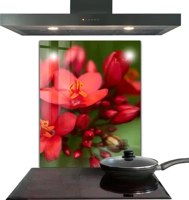 Produktbild von Spritzschutz aus Glas Küchenrückwand - Wandschutz für Herd und Spüle - 60x80 cm - Blühende Blumenknospen