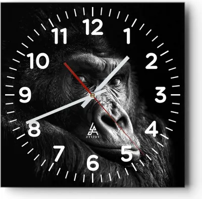 Produktbild von Wanduhr - Quadrat - Glasuhr - Affe Gorilla Porträt - 40x40cm - Schleichendes Uhrwerk - Lautlos - zum Aufhängen bereit - Dekoration Modern - Wanddekoration aus Glas - C4AC40x40-5007
