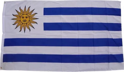 Productafbeelding van Uruguayaanse vlag – Vlag van Uruguay – Uruguayaanse vlag – Uruguayaanse gemeenschapsvlag – 90/150 cm – Uruguay – Montevideo