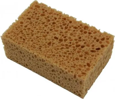 Image de Éponge, naturelle, lot de 10