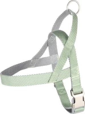 Image de Flamingo harnais norvégien Elly vert clair, taille : L