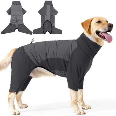 Immagine prodotto di Cappotto impermeabile per cani, colore grigio, taglia 2XL