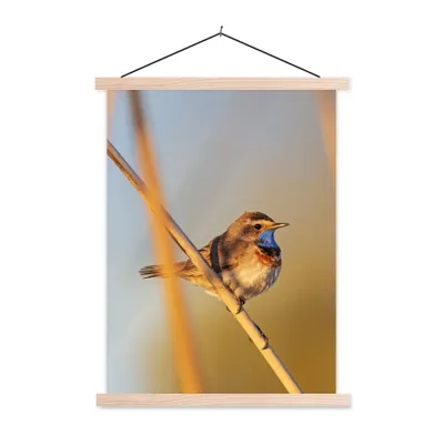 Produktbild von MuchoWow® Textilposter Vögel - Blaukehlchen - Schilf 60x80 cm mit holzfarbenen Rahmen - Wandbild