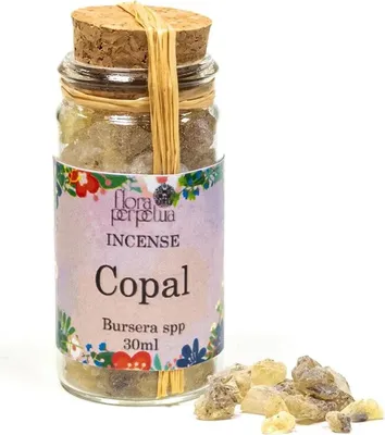 Zdjęcie produktu dla Mieszanka żywicy Copal (Afryka) -- 15 g; 30 ml