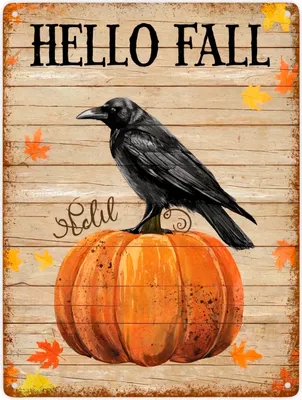 Produktbild von Rabe auf Kürbis - Hello Fall Metallschild XXL in 28x38 cm als Herbstdeko