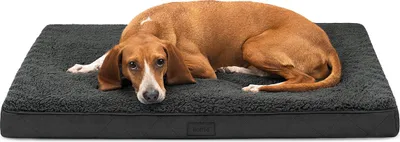 Produktbild von lionto Hundebett, orthopädisches Bett mit Plüschoberfläche & WildKunstleder, abnehmbarer Bezug & Tragegriff, 91x69x8 cm, schwarz