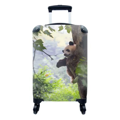 Produktbild von MuchoWow® Koffer Handgepäck Trolley Rollkoffer Kleine Reisekoffer mit 4 Rollen - Panda - Baum - Wald - Cabin Size < 55x40x23 cm & 55x40x20 cm - Fotokoffer - Kabinenkoffer - Boardgepäck - Reise-Box - Reisekoffer - Reisegepäck - Koffer mit Bild - Trolley für Kinder