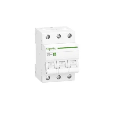 Immagine prodotto di Interruttore automatico Schneider Electric R9F28332