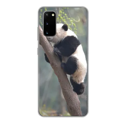 Produktbild von MuchoWow® Handyhülle Schutzhülle Hülle für Samsung Galaxy S20 Panda - Tier - Baum Silikon Softcase Handy Hülle - Bild