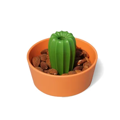Produktbild von Snackschale Cacnuts orange 2in1 Schale ca. Ø 10,5x8cm & Deckel für Gläser ca. Ø 8cm