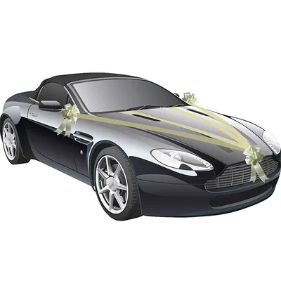 Hochzeits-Auto Girlande Elfenbein 8 cm x 20 m Autoschleife Autoschmuck Wedding Car Deko