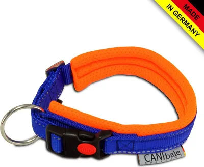 Produktbild von CANIbale dogsport BIGring Click Halsband | CB6676, Größe:M (35-41)